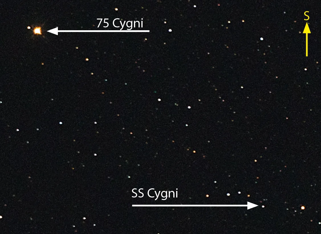 SS Cygni is located to the northeast of 75 Cygni. Credit: Pete Lawrence
