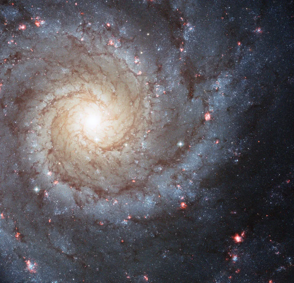 Galaxy M74 Credit: NASA, ESA and the Hubble Heritage (STScI/AURA)-ESA/Hubble Collaboration; Acknowledgment: R. Chandar (University of Toledo) and J. Miller (University of Michigan)
