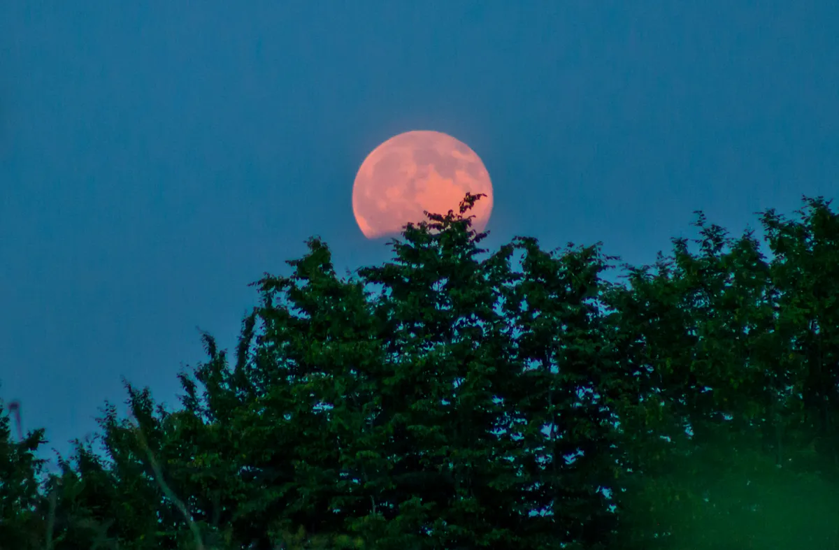 Strawberry Moon rising. Credit: Mary McIntyre