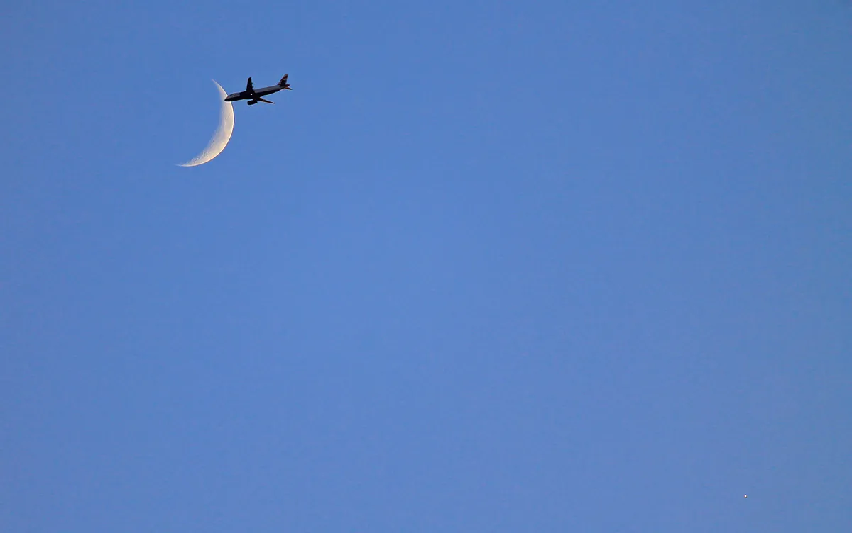 Flying to the Moon by Honor Wheeler, Wilmington, Kent. Equipment: Canon EOS 1100D, Canon EF-S 55-250mm lens.