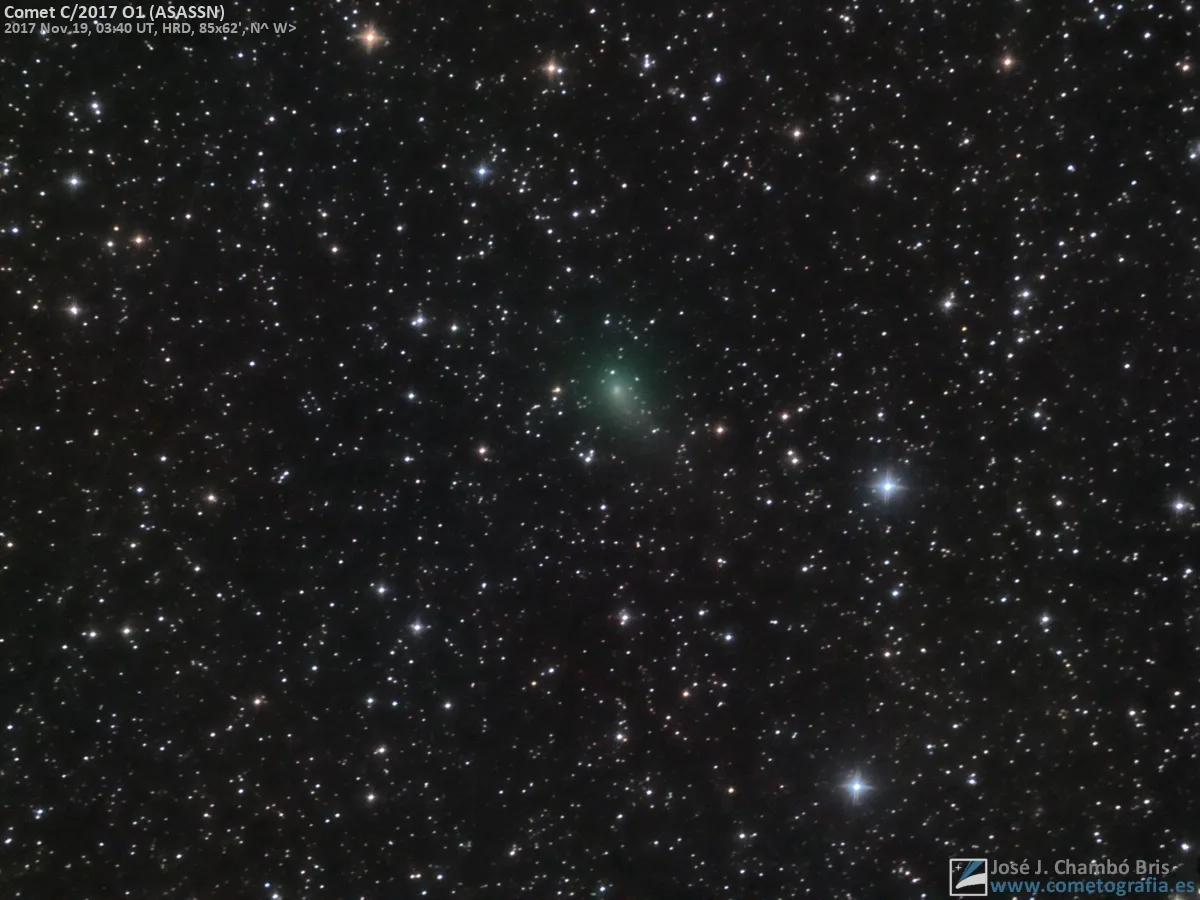 Comet C/2017 O1 ASASSN by José J. Chambó, Valencia, Spain. Equipment: GSO 8
