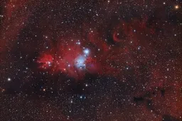 NGC 2264 by Mario Richter, Finsterwalde, Südbrandenburg, Germany. Equipment: Takahashi TSA 102/816, Reducer Tak FS TAO 612mm, Sky Watcher EQ6 Sky Scan, AMP Image Master 60/240, MGEN 2, Canon 60d mod, IDAS LPS D1 filter.