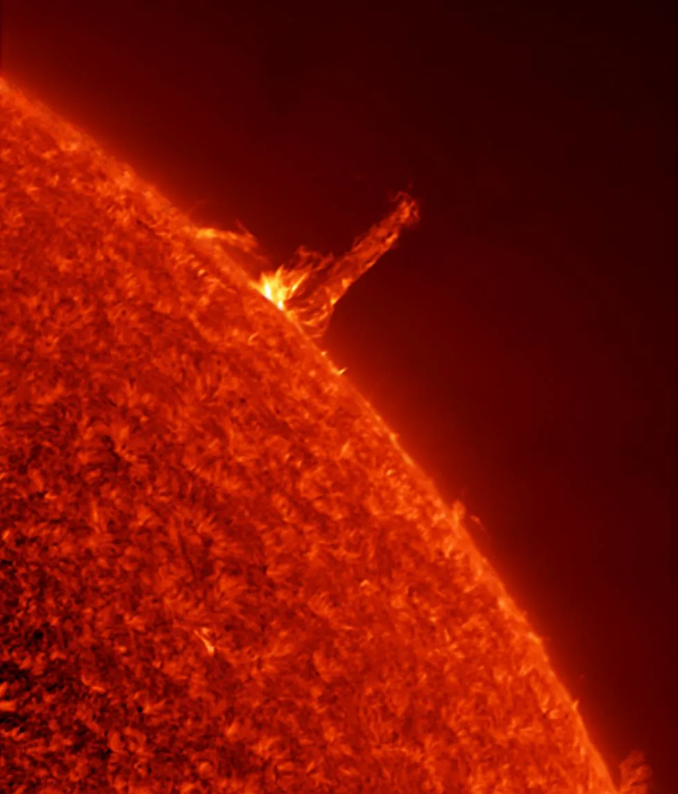 Large Prominence on the Sun by Gary Palmer, Sutton, Surrey, UK. Equipment: Solarmax II 90mm, Opticstar PX 137, Celestron CGEM mount.