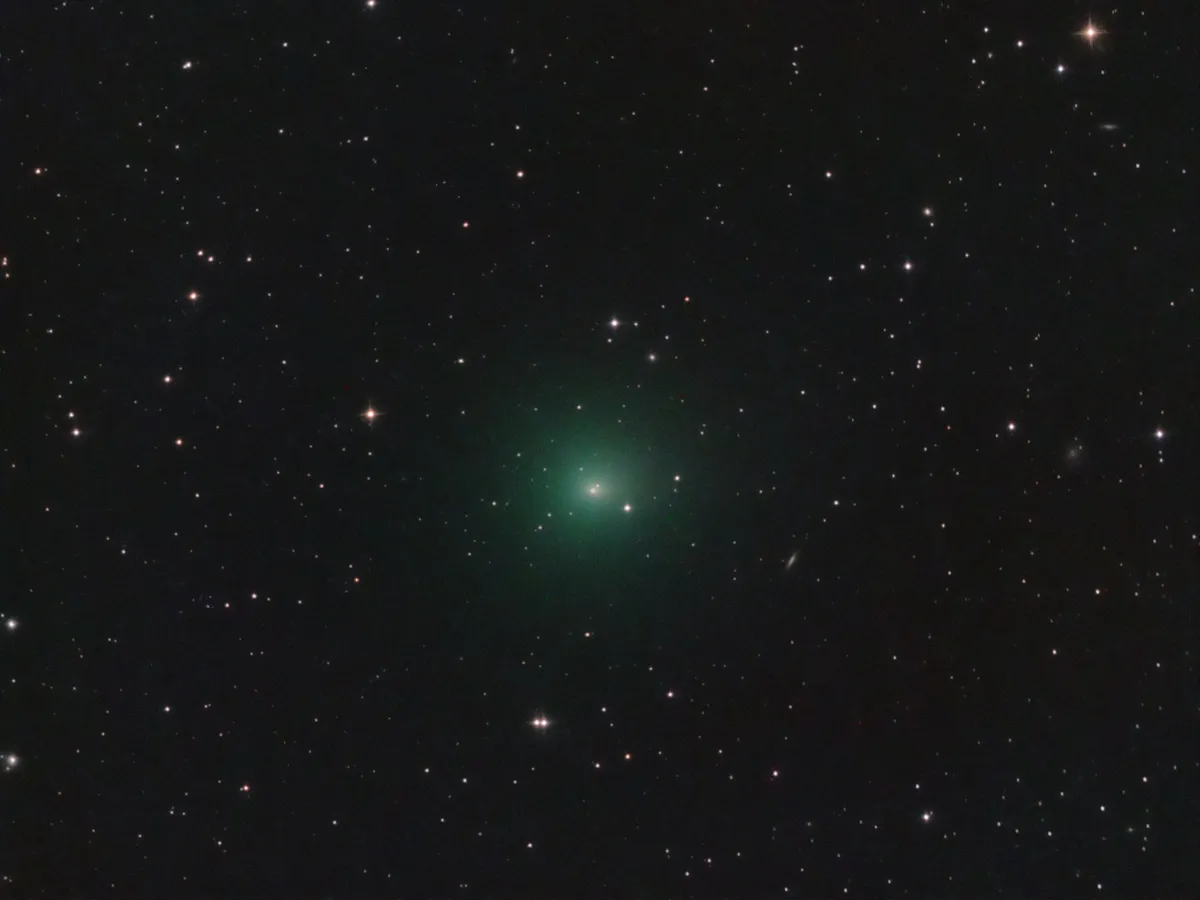 Short-period Comet 41P near Earth 
