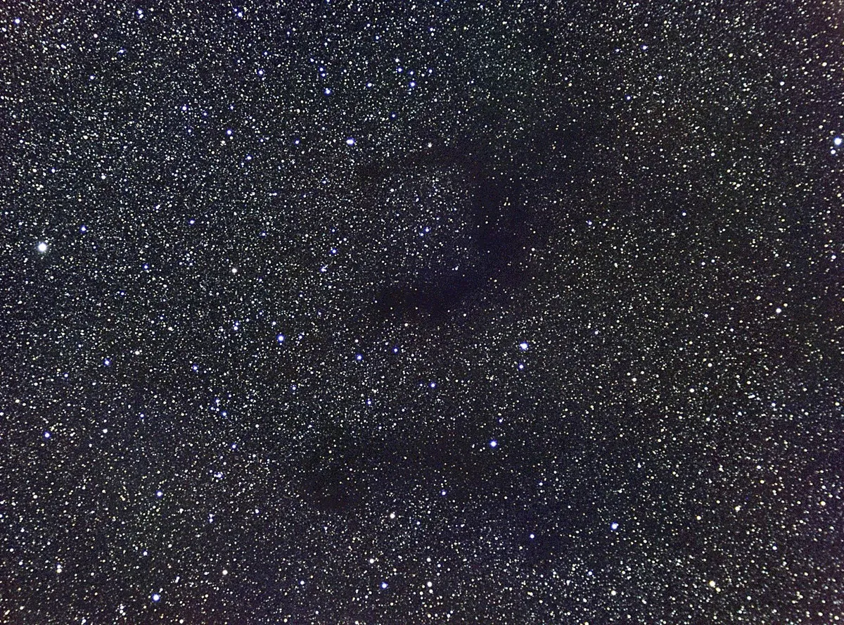 B142 & B143 Dark Nebulae by Mark Griffith, Swindon, Wiltshire, UK. Equipment: Skywatcher NEQ6 pro mount & Equinox 80mm refractor, Atik 383L  camera, motorised filter wheel and Astronomik LRGB filters.
