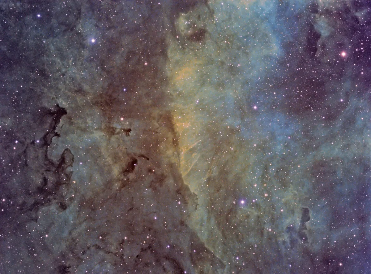 Dark nebulae and gas clouds in Cygnus by André van der Hoeven, HI-Ambacht, The Netherlands. Equipment: TEC-140, QSI-583, Skywatcher NEQ-6