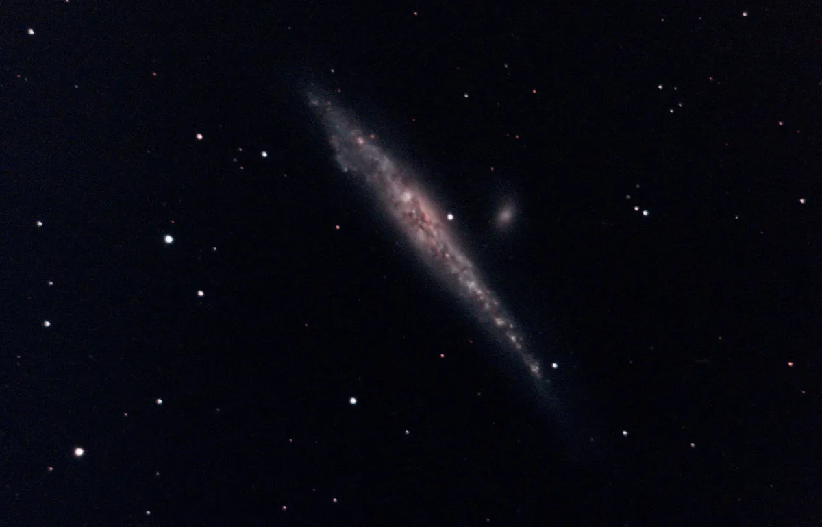 C32 Whale Galaxy by Mark Griffith, Swindon, Wiltshire, UK.