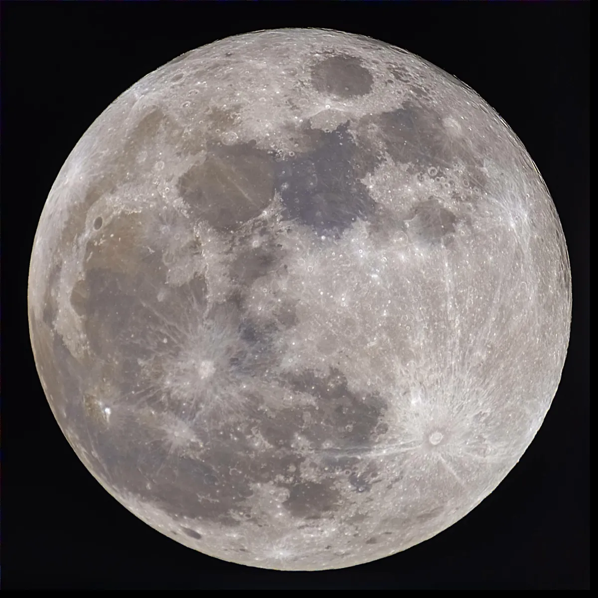 Super Moon Blue Moon by Nick Talbot, Telford, UK. Equipment: Mak 150, Canon 6D.