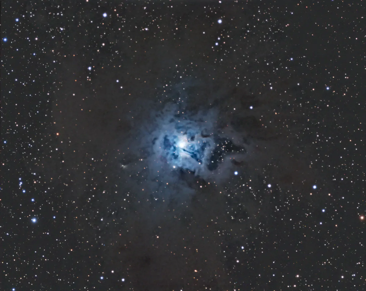 Iris Nebula - NGC 7023, Caldwell 4, LBN 487 by Ian Russell, Sutton Courtenay, Oxfordshire, UK. Equipment: TS Optics 130 super apo, iOptron CEM60 EC, Atik 490ex, Astrodon 36mm unmounted, Atik OAG, QHY5L II, PHD2
