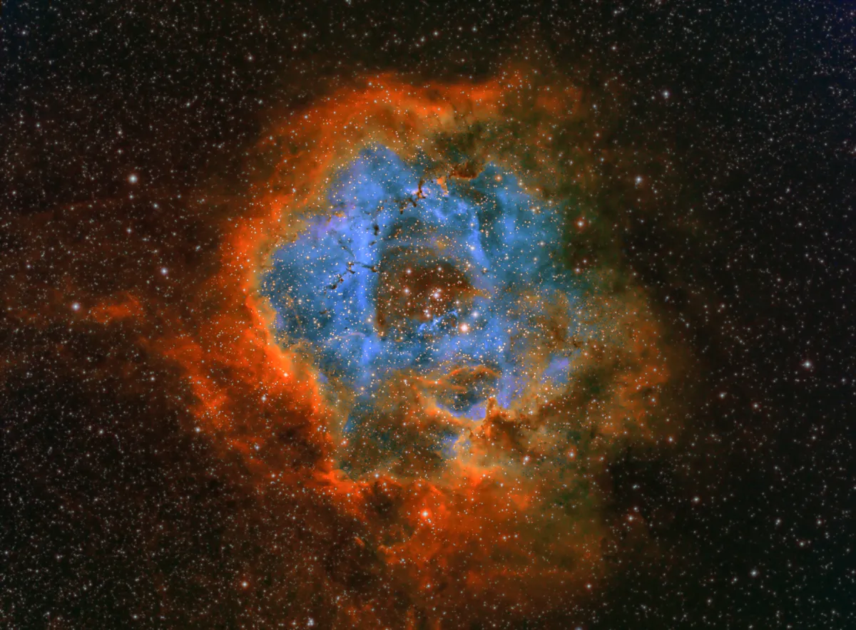 Rosette Nebula in Narrowband by Tony King, Woking, UK. Equipment: TS80 Triplet, QSI683 WSG8 mono, Baader filters, self belt modded NEQ6 Pro, Polemaster