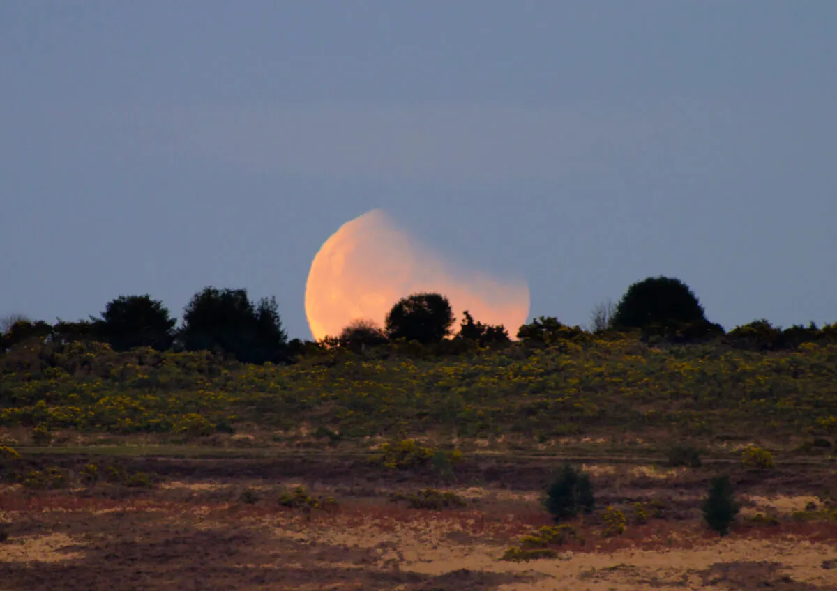 Lunar Eclipse (10/12/2011) by Tom Howard, Sussex, UK.