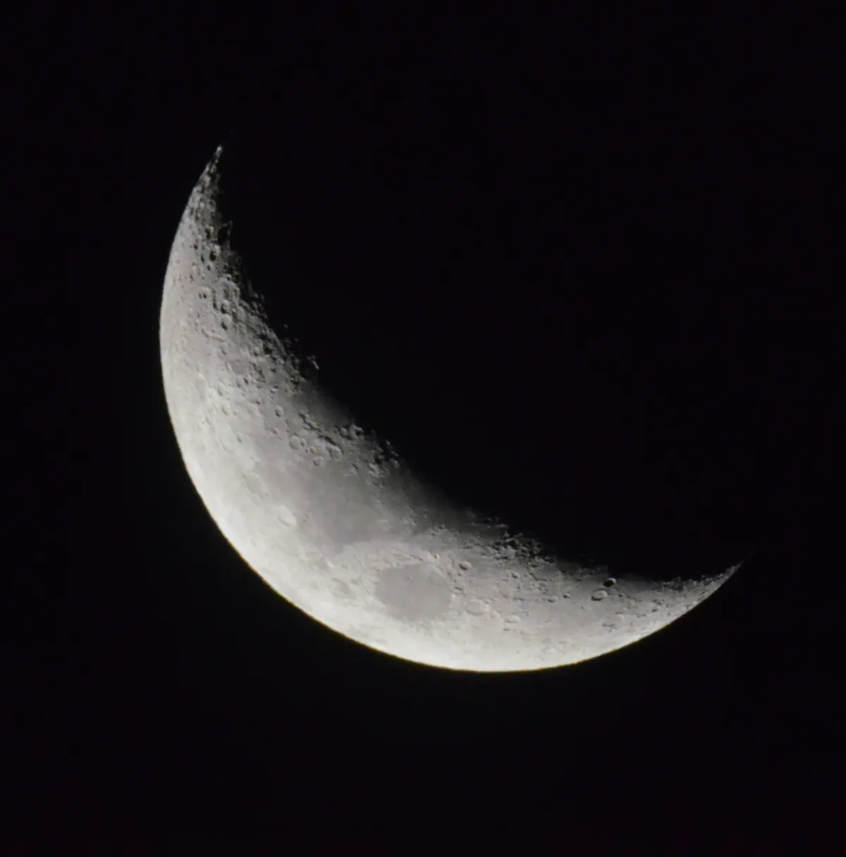 Crescent Moon 30/05/2017 by Clemens Unger, Mornington, Australia. Equipment: Nikon D7000, Russian built MTO 1100/10.5 Maksutov lens.
