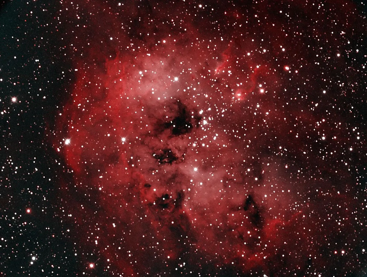 IC410 Tadpole Nebula by Mark Griffith, Swindon, Wiltshire, UK. Equipment: GSO 8