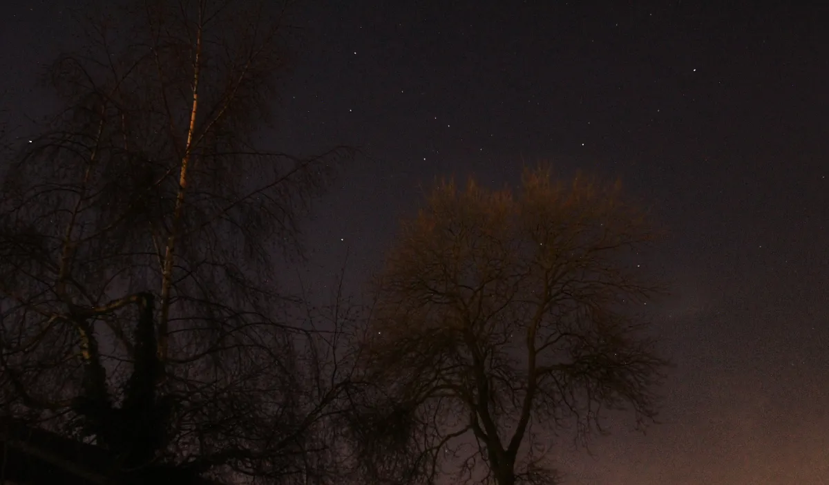 Tree to the Stars by Alex, Hessle, UK. Equipment: Canon 550d, Tamron 200mm Macro Lense, Manfrotto Tripod