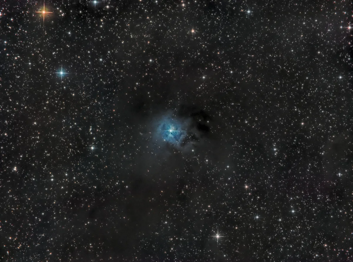 Iris Nebula - NGC 7023 by Jay Bolt, Crigglestone, West Yorkshire, UK. Equipment: Skywatcher 130pds, EQ6-r Pro, QHY 163m, filter wheel, Baader LRGB filters.