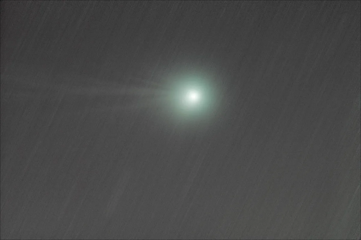 Comet Lovejoy by Alfredo José Martins Balreira, Rio Tinto, Portugal. Equipment: EQ-6 mount, Skywatcher 80ED, Canon EOS Rebel T3.