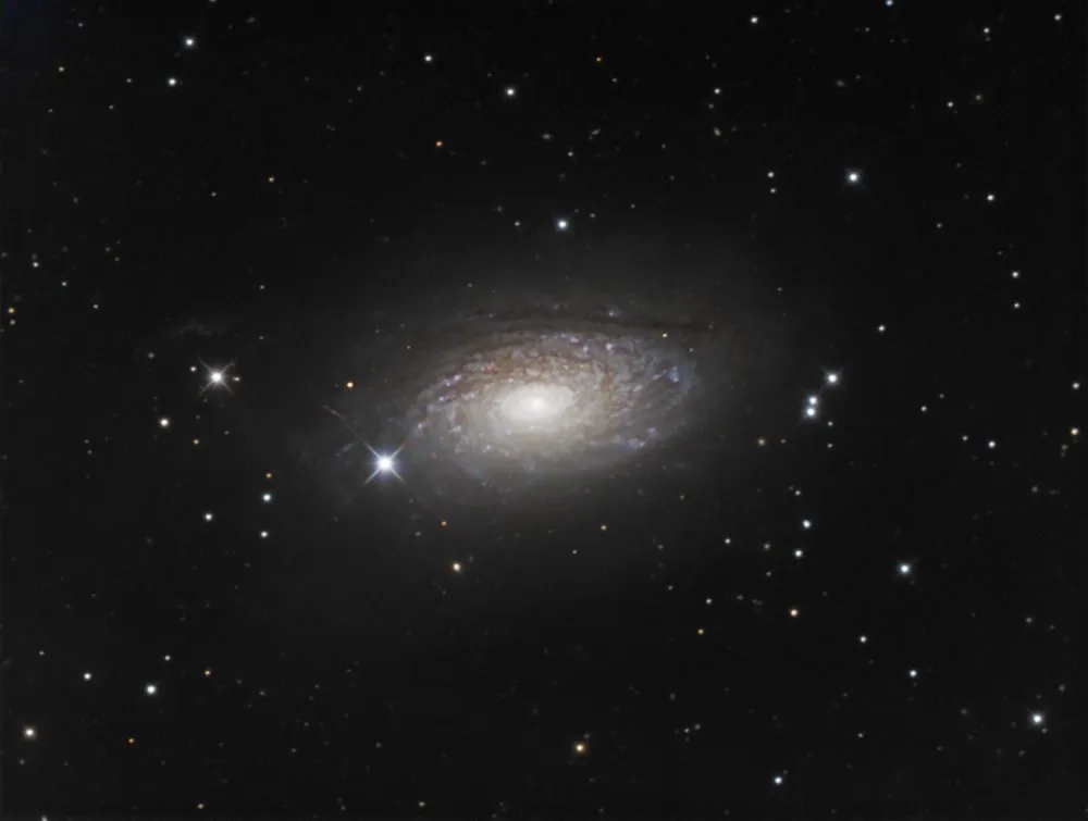 M63 by Dan Crowson, Animas, New Mexico, USA. Equipment: SBIG STF-8300M, Astro-Tech AT12RCT at f/8 2432mm.