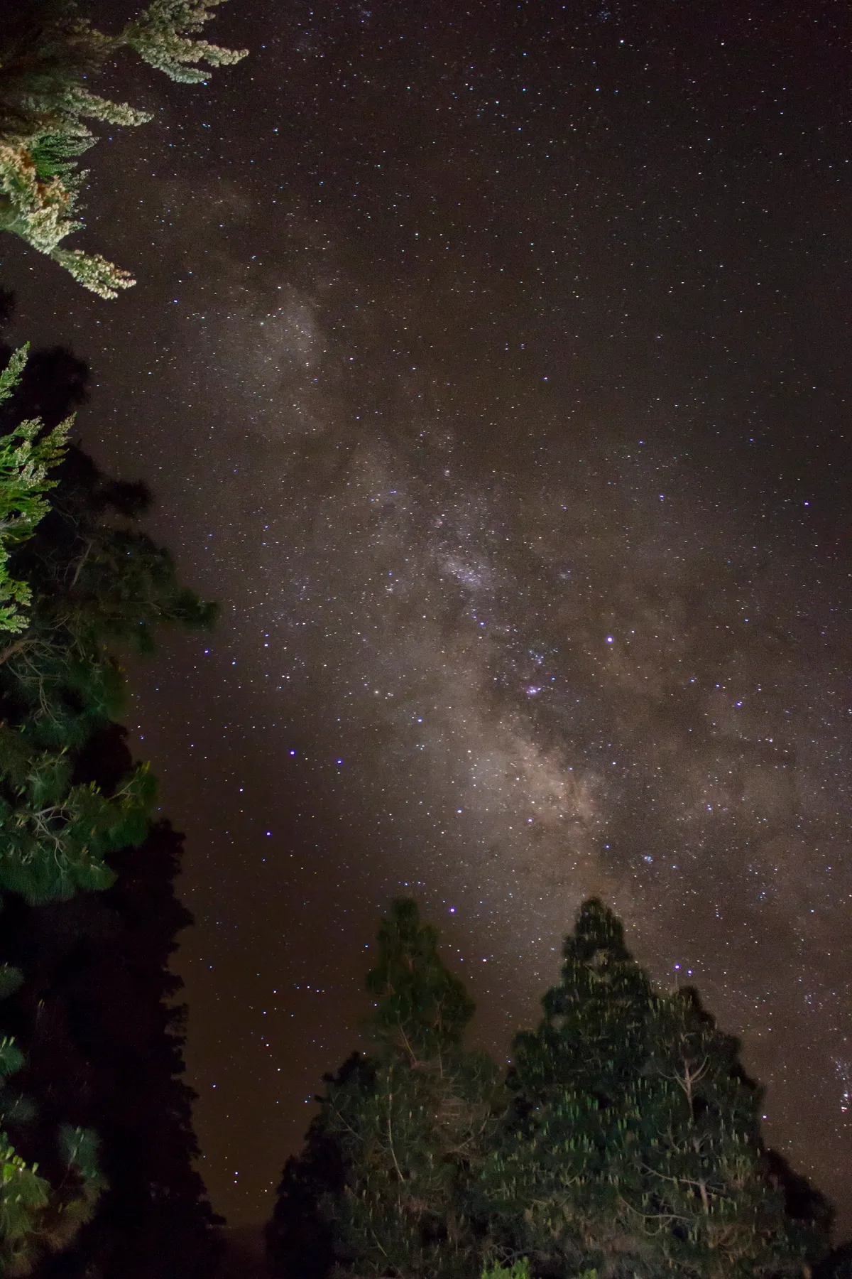The Milky Way Shining down on North Tenerife by Peter Louer, Tenerife. Equipment: Canon 700D, 18-55mm lens.
