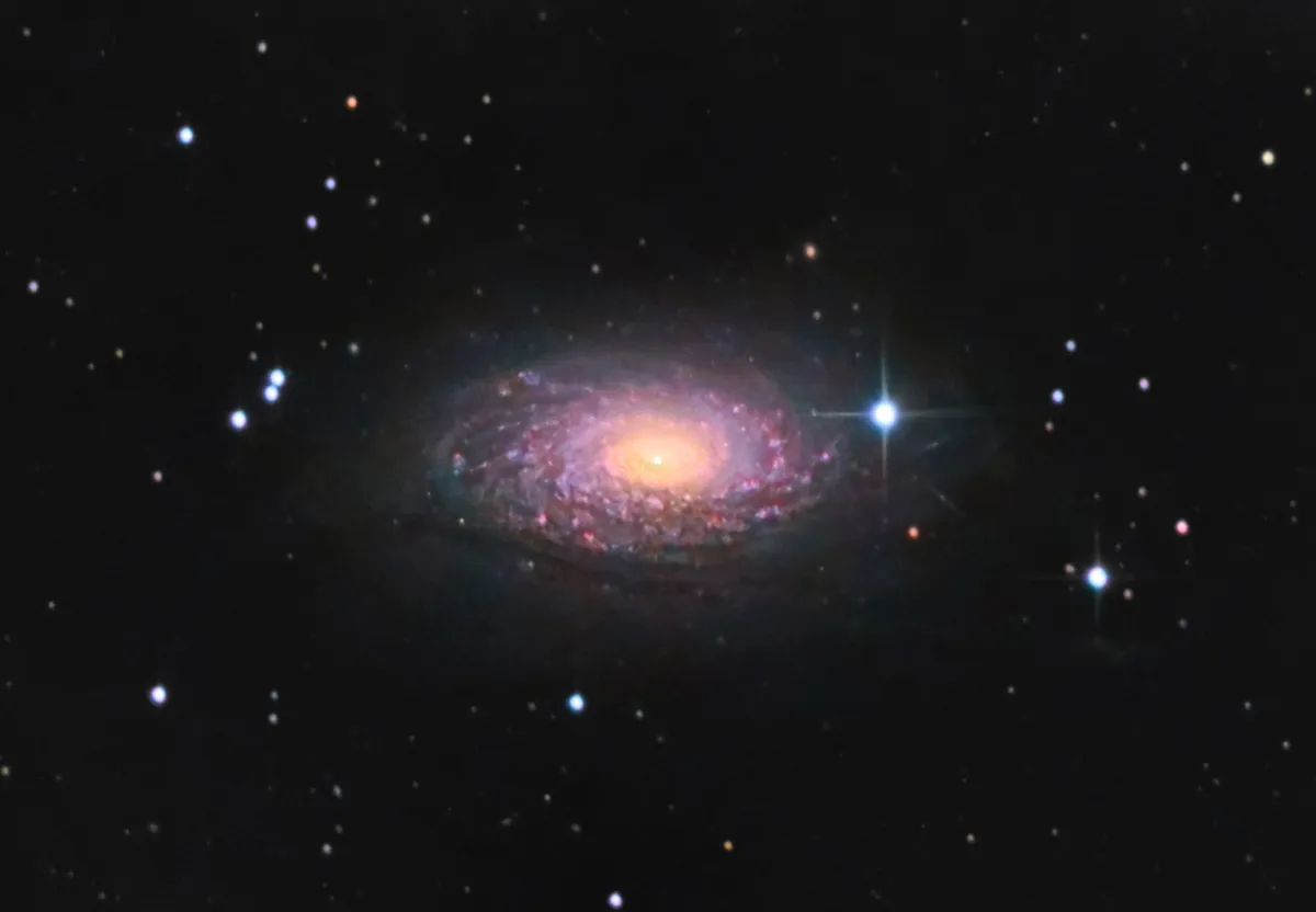 The Sunflower Galaxy by David Slack, Prudhoe, Northumberland, UK. Equipment: 8" Celestron F5 Newtonian, SXV-H9 CCD, Canon 1100D DSLR, Sky Watcher HEQ5 pro mount.