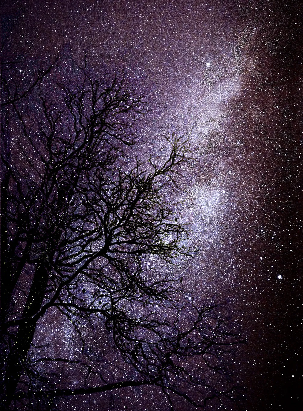 Milkyway against Branches by Mark Casto, Suffolk, UK. Equipment: Lumix G1, Tripod