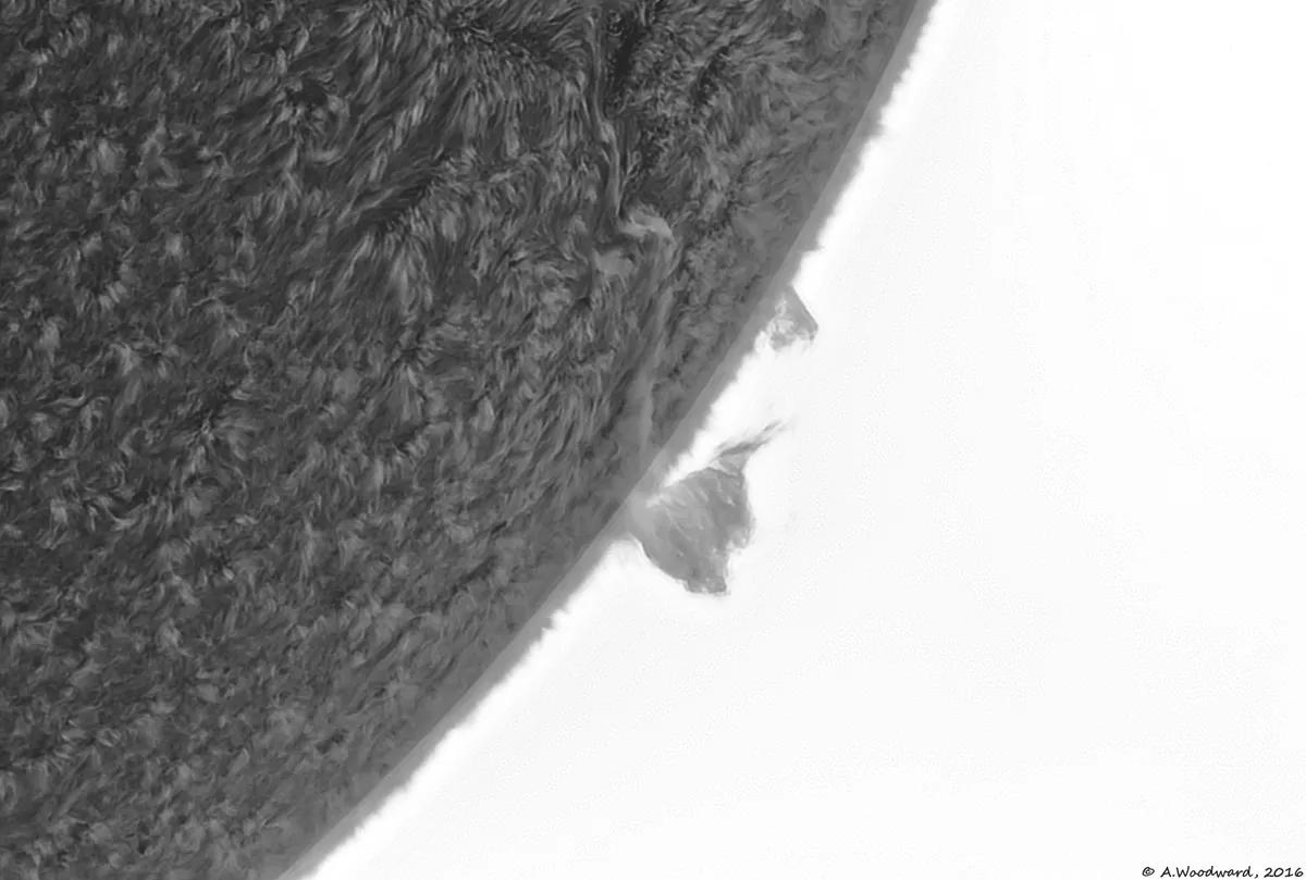 Inverted Filaprom and Prominence by Alastair Woodward, Derby, UK. Equipment: Sky-watcher 120mm Evostar achromatic refractor, Daystar Quark Chromosphere Hydrogen Alpha eyepiece, Point Grey Blackfly IMX249
