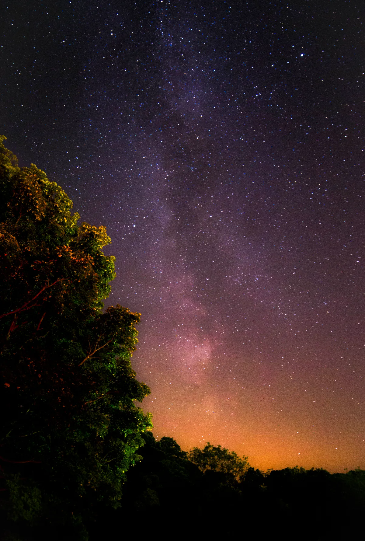 Backyard Milky Way Tree by Brinton Darnell, Grosmont, N. Yorkshire, UK. Equipment: Nikon D3100, Samyang 14mm lens, Tripod.