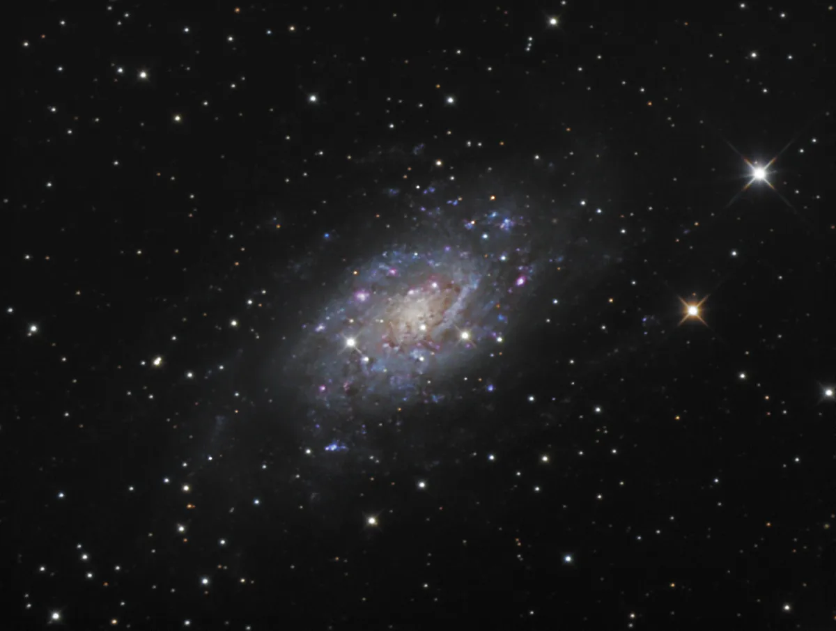 NGC 2403 by Dan Crowson, Animas, New Mexico, USA. Equipment: SBIG STF-8300M, Astro-Tech AT12RCT