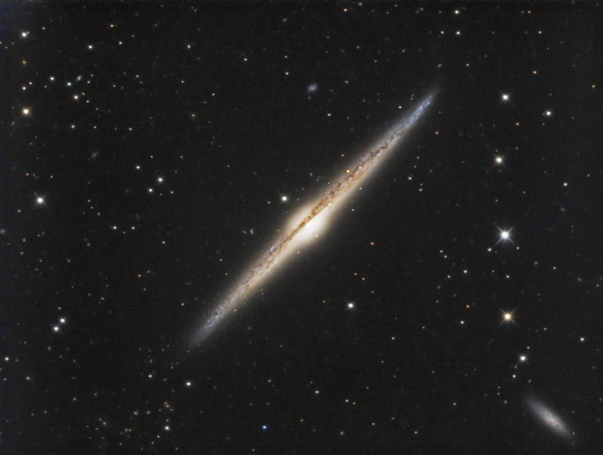 The Needle Galaxy by Dan Crowson. See if you can spot it this Galaxy Season