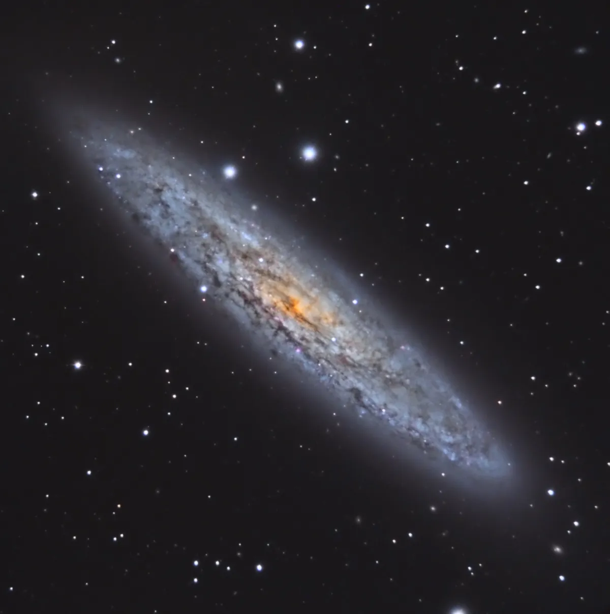NGC 253 (Sculptor) by David Attié, Abu Dhabi. Equipment: C11 XLT Fastar, focal reducer 0,63x, CCD Moravian G2-4000 (internal filter wheel), Skyméca Off Axis Guider Skytrack, LodestarX2, Az-Eq6, Baader LRGB filters.