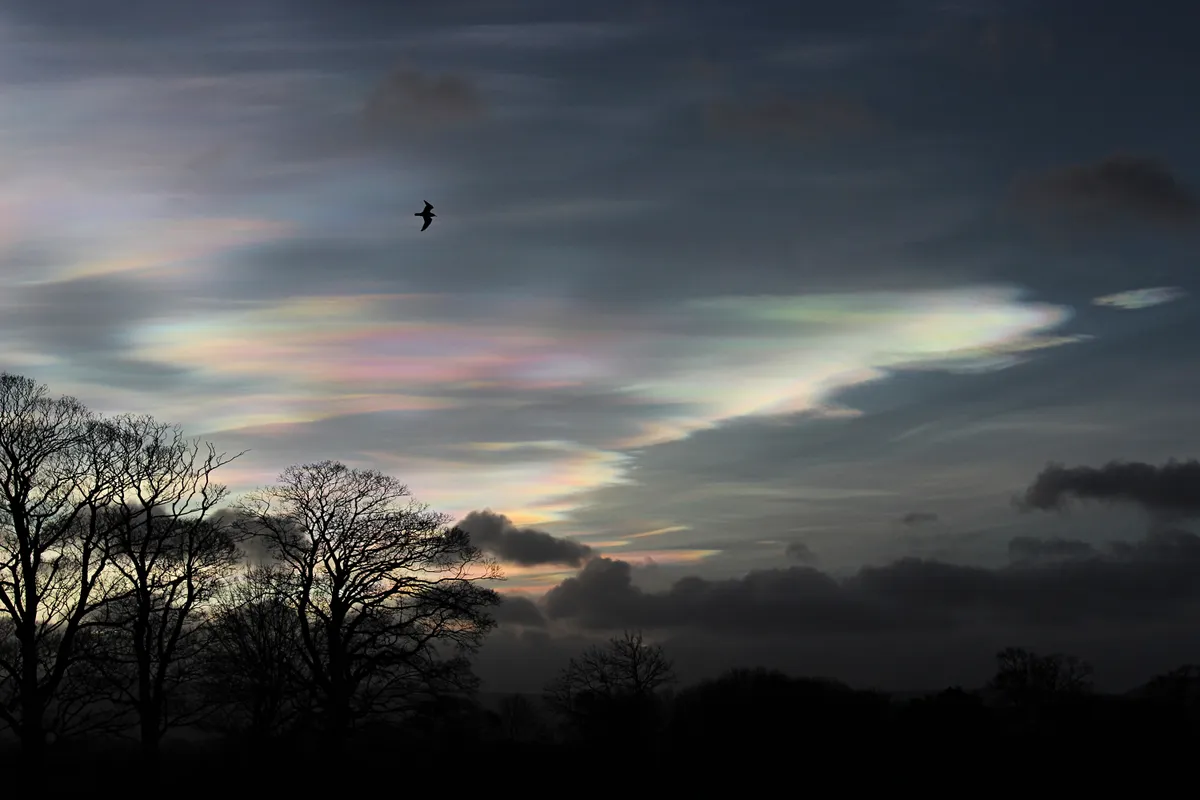 Nacreous Clouds by Steve Brown, Stokesley, N. Yorkshire, UK. Equipment: Canon 600D, 18-55mm lens