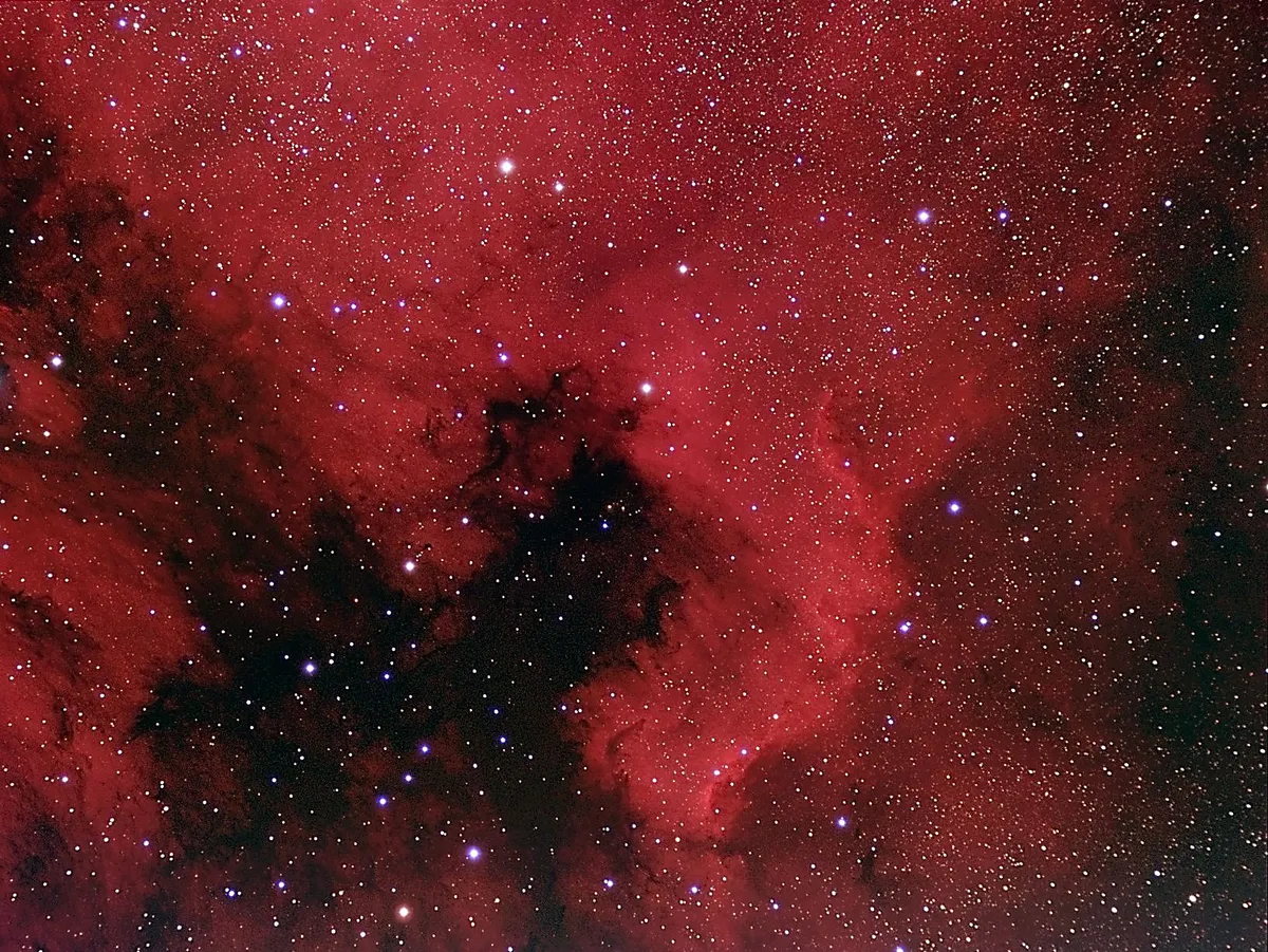 NGC 7000 North American Nebula by Mark Griffith, Swindon, Wiltshire, UK. Equipment: Skywatcher NEQ6 pro mount & Equinox 80mm refractor, Atik 383L  camera, motorised filter wheel and Astronomik Ha LRGB filter set.