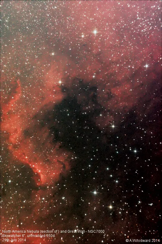 North America Nebula (section of) and Cygnus Wall - NGC7000 by Alastair Woodward, Derby, UK. Equipment: Skywatcher 6" Newtonian, EQ3-2 mount with RA DEC motors, Unmodded Canon 350d, CLS clip filter, DSS for stacking