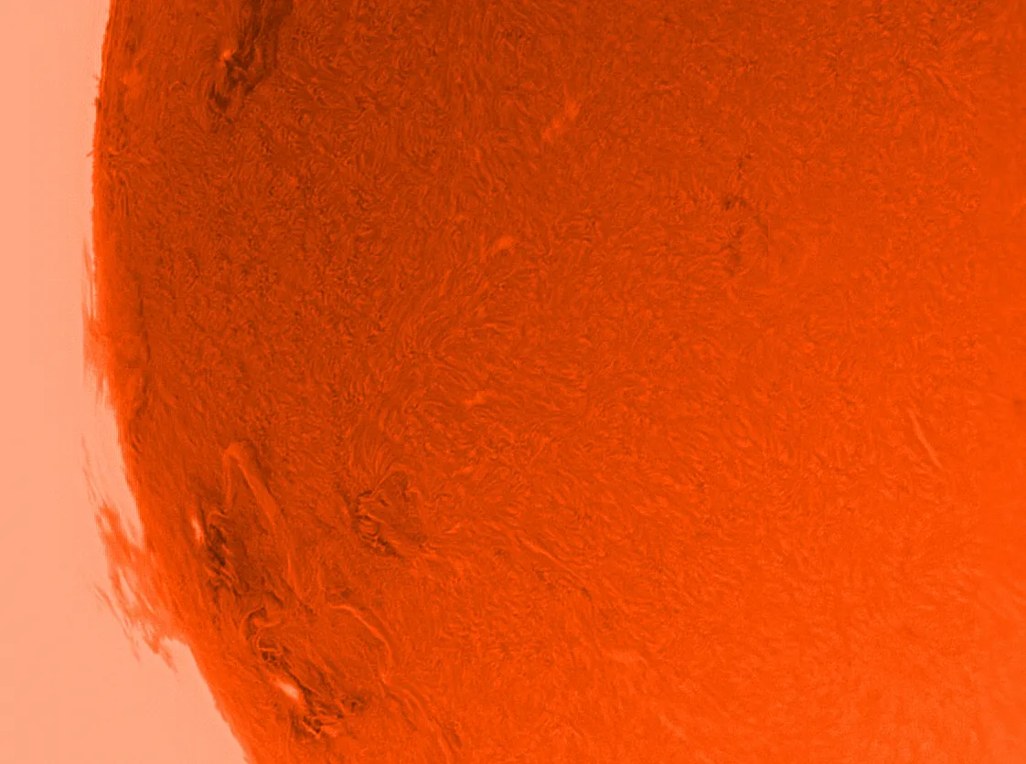Image of AA2080, 2085 and 2082 on the Sun by Peter J Williamson FRAS, Whittington, Shropshire, UK. Equipment: Coronado 60mm Solar Max 2, Double Stacked, ZWO ASI120MC CCD, Nexstar Mount