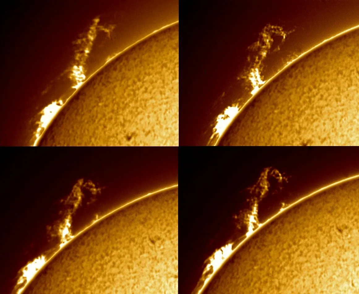 Super Prominence by Mark Griffith, Swindon, Wiltshire, UK. Equipment: Lunt 35mm Ha Telescope, Skywatcher NEQ6 pro mount, 2x barlow and DMK41 mono camera.