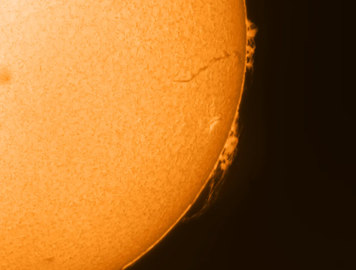 Arching prominence on the Sun's Eastern limb by Chris Higgins, Harrogate, UK. Equipment: Lunt 60 Hydrogen Alpha scope, ZWO ASI 174 mono CCD, 2.5x Televue Powermate.