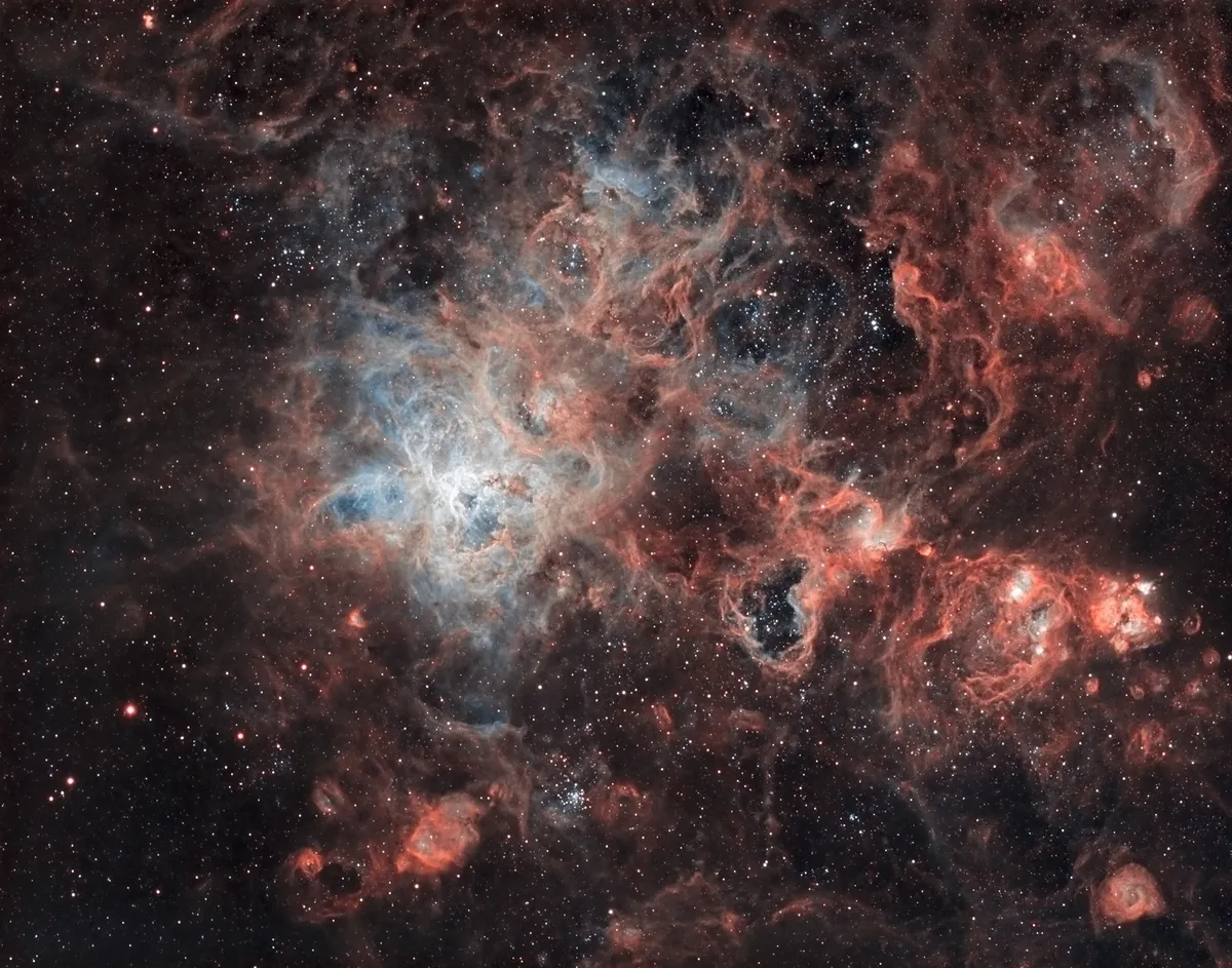 NGC 2070 - The Tarantula Nebula by Slawomir Lipinski, Brisbane, Australia. Equipment: Teleskop Service 102mm ED, 0.8 reducer/flattener, QSI690, SkyWatcher HEQ5 PRO, Orion 50mm GuideScope, ORION StarShoot AutoGuider.