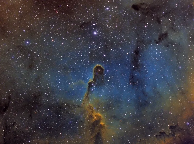 IC 1396 Elephant's Trunk Nebula by Ian Russell, Sutton Courtenay, UK.