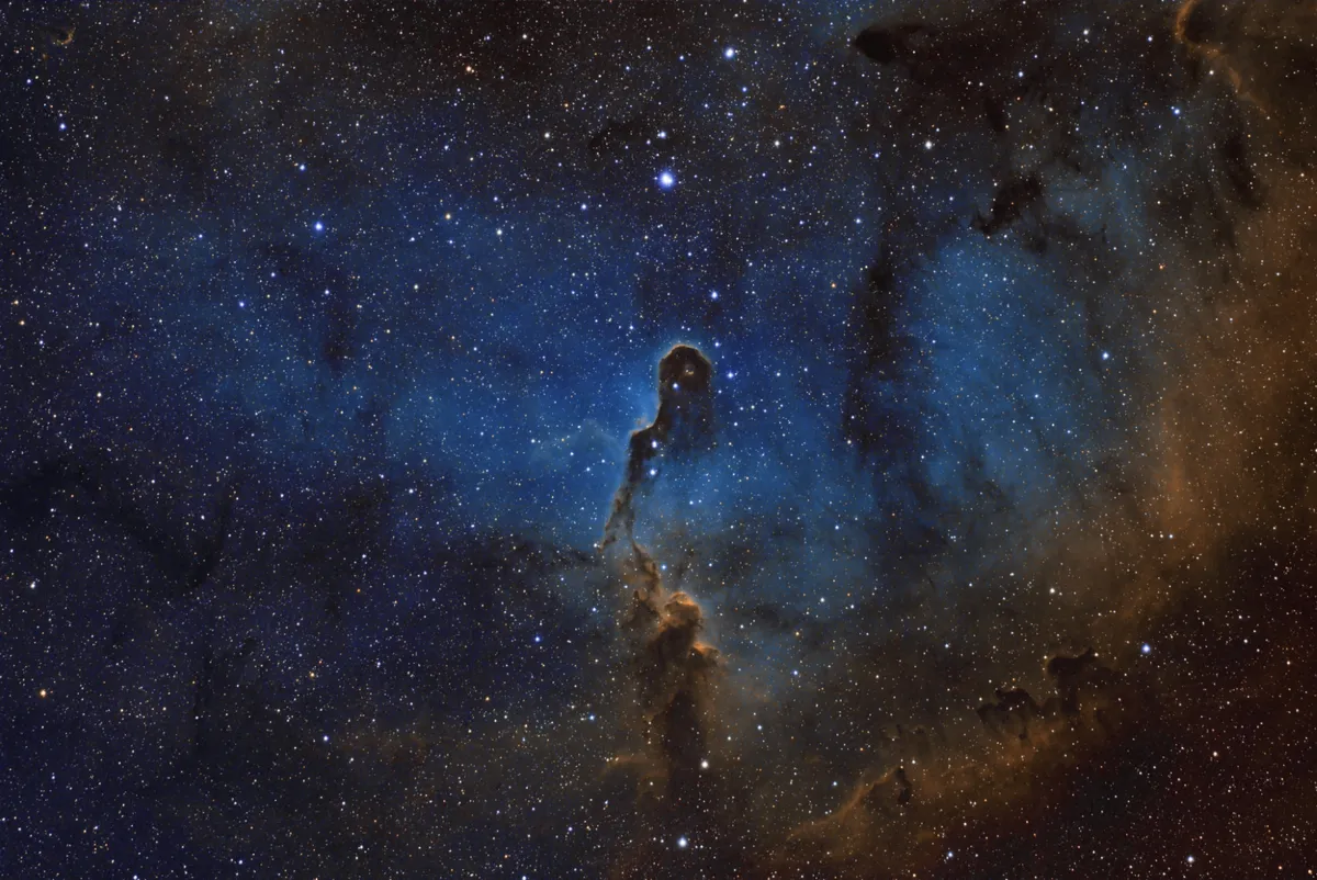 IC1396 (Elephants Trunk) in Hubble Palette by Trevor Nicholls, Chelmsford, UK.