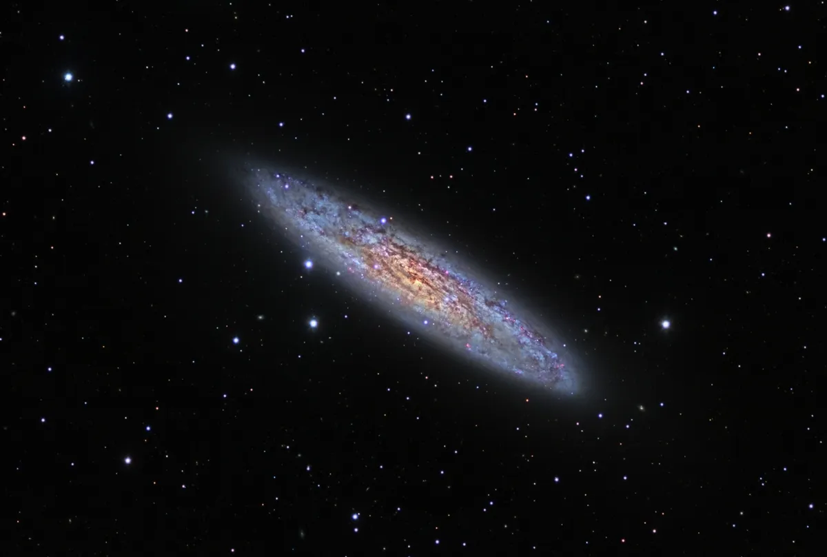 Silver Dollar Galaxy by Ron Brecher, NSW, Australia. Equipment: SBIG ST-6303E camera, Astrodon Gen2 LRGB filters, Custom-built 150mm f/11.1 refractor, Paramount ME. All pre-processing and processing in PixInsight.