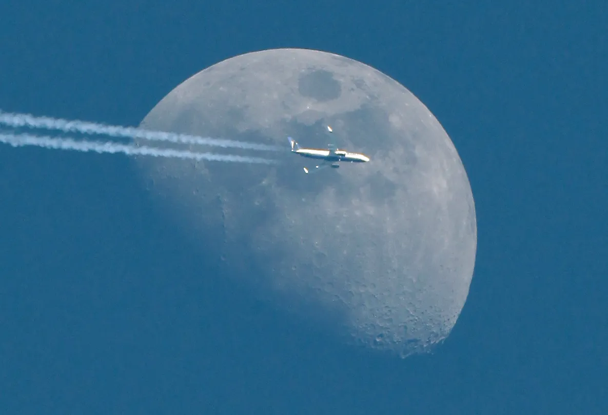 Fly me to the Moon! by Paul Gavey, UK. Equipment: Canon 5DMkII,d Canon lens 200-400.