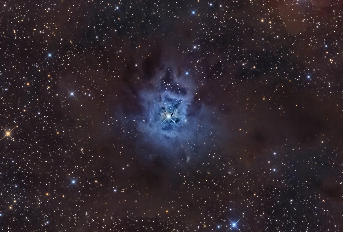 The Iris Nebula by Ron Brecher, Guelph, Ontario, Canada. Equipment: 10