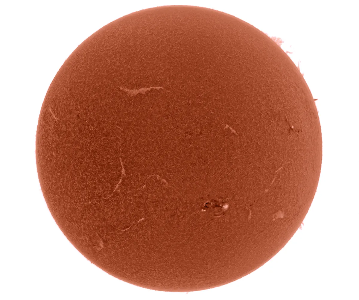 Inverted Full disk and false coloured Image of The Sun by Ivar Kooren, Heenvliet, The Netherlands. Equipment: Solarmax60S, ASI174mm, NEQ6