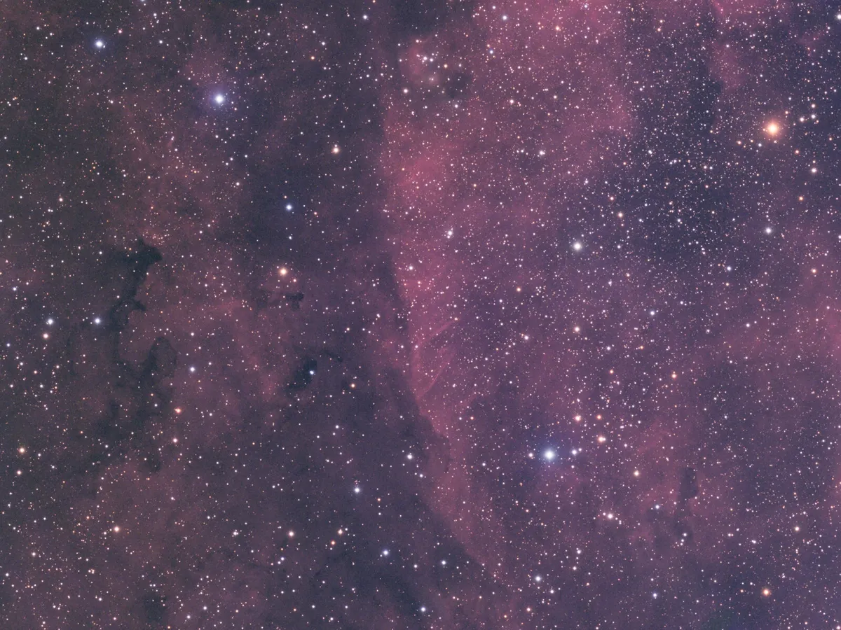 Dark Nebulae and Gas Clouds in Cygnus by André van der Hoeven, HI-Ambacht, The Netherlands. Equipment: TEC-140, QSI-583, Skywatcher NEQ-6