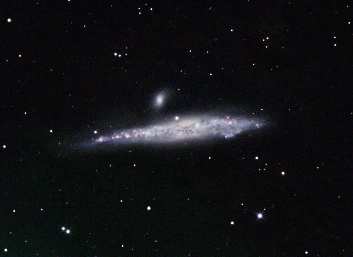 NGC4631 Whale Galaxy by Mark Griffith, Swindon, Wiltshire, UK.