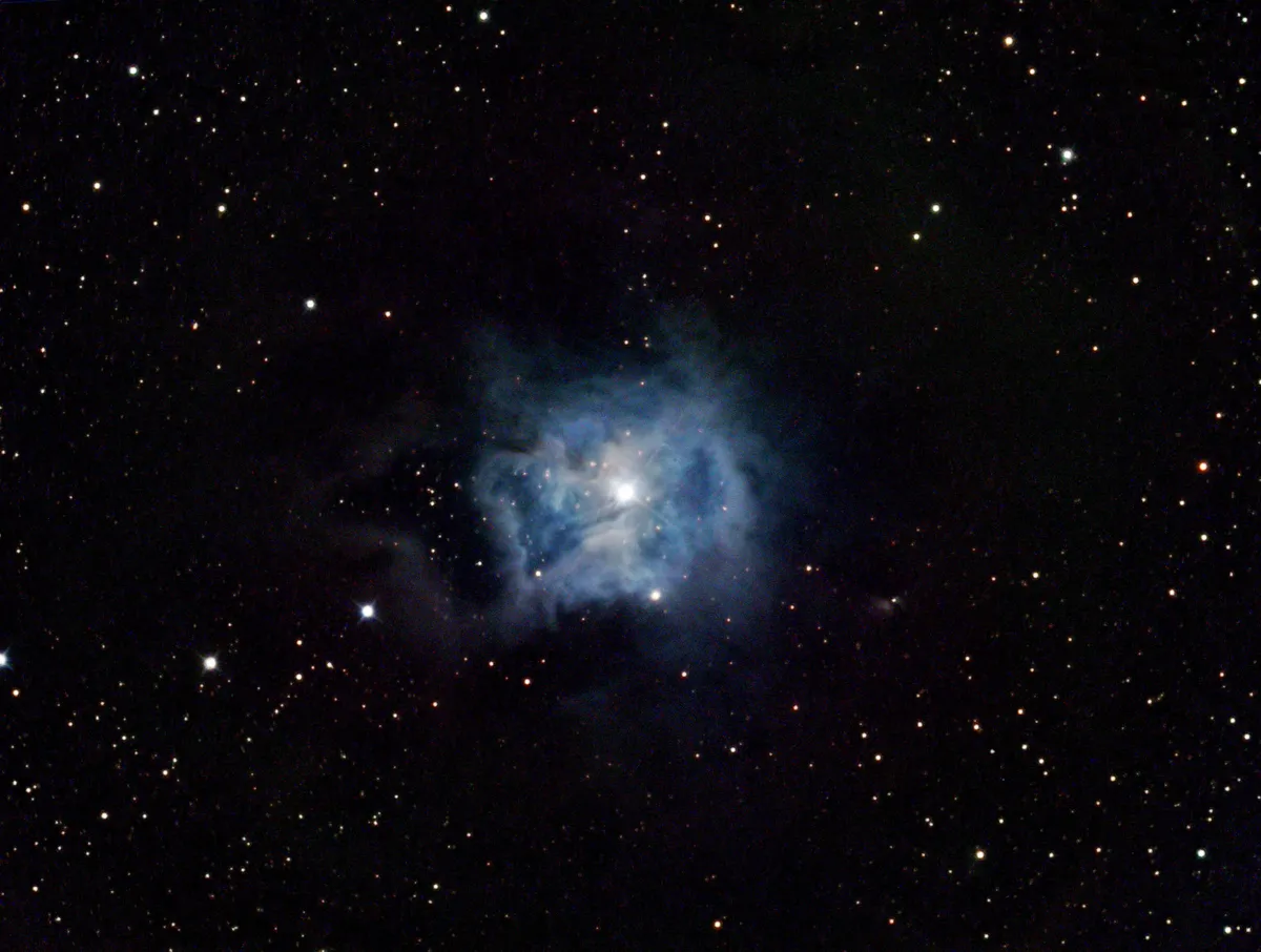 C4 Iris Nebula by Mark Griffith, Wallingford, UK. Equipment: Teleskop service 12