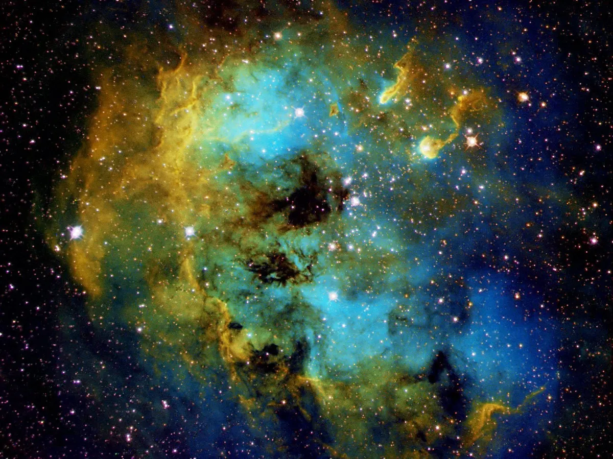 The Tadpole Nebula Mark Griffith, Swindon Atik 383L  camera, Teleskop Service 12-inch Richey-Chrétien, Sky-Watcher EQ8 mount.