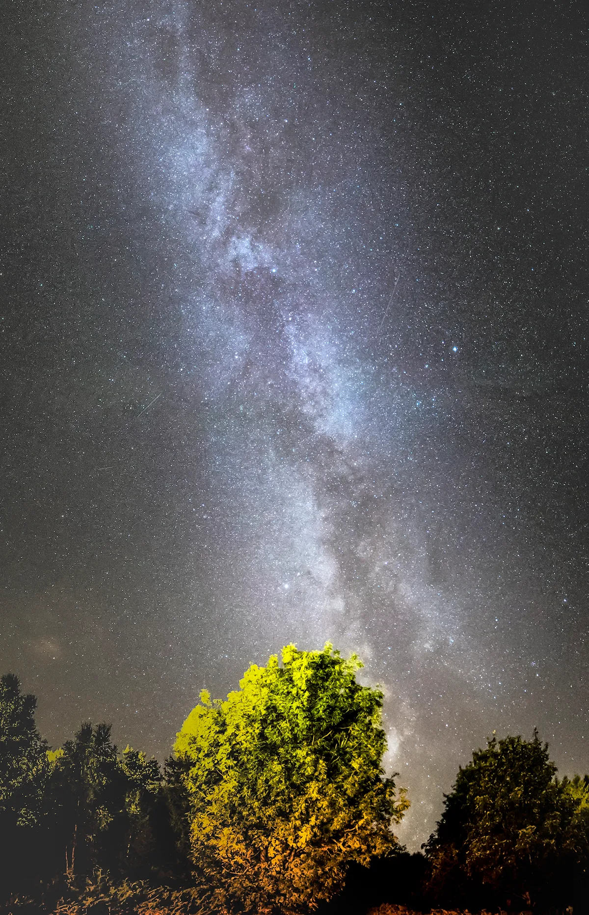 Milky Way Panorama by John Short, Derwent Reservoir, Durham, UK. Equipment: Sony A7's, Samyang 14mm lens.