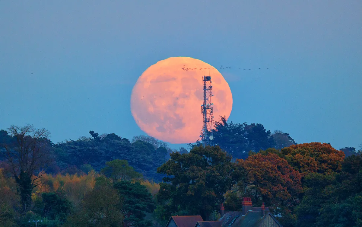Superb Moon by Rad Djeliov, Northamptonshire, UK. Equipment: Celestron C80ED, Canon 100D