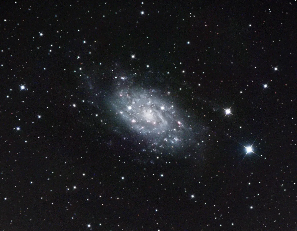 NGC2403 Mixed Spiral Galaxy by Mark Griffith, Swindon, UK. Equipment: Teleskop service 12