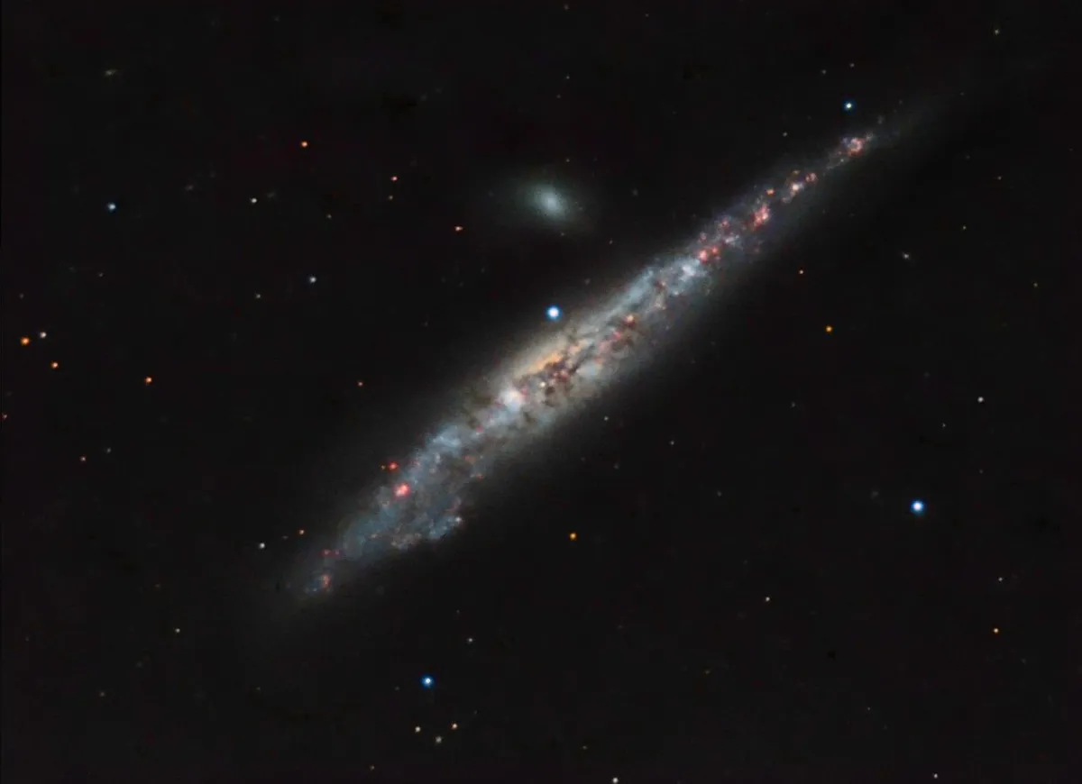 NGC 4631 Whale Galaxy by Andre van der Hoeven, HI-Ambacht, The Netherlands.